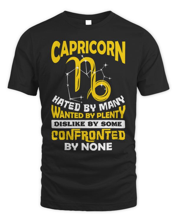 Capricorn Hated By Many December January Zodiac Birthday Pullover Hoodie