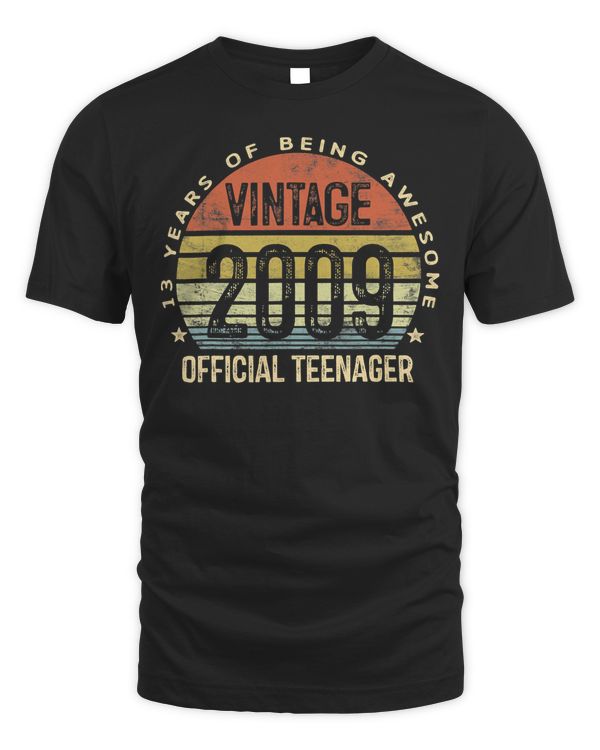 13th Birthday Gifts Vintage 2009 Official Teenager 13 Yr Old