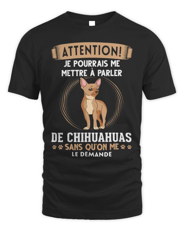 chihuahua 219