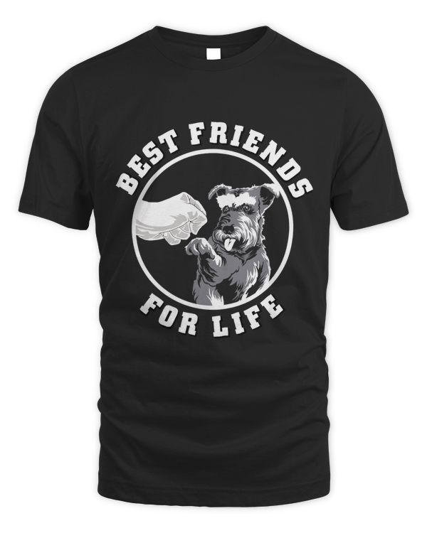 Schnauzer Best Friends For Life, Schnauzer Dog Lover Gift Sweatshirt