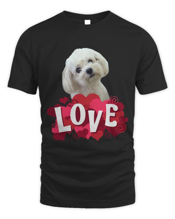 Maltese Dog Lover Puppy Owner Maltipoo Mix Fans Hearts Gift Pullover Hoodie