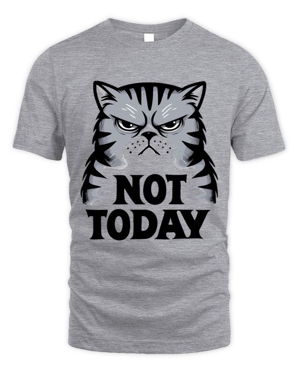Grouchy Cat Not Today