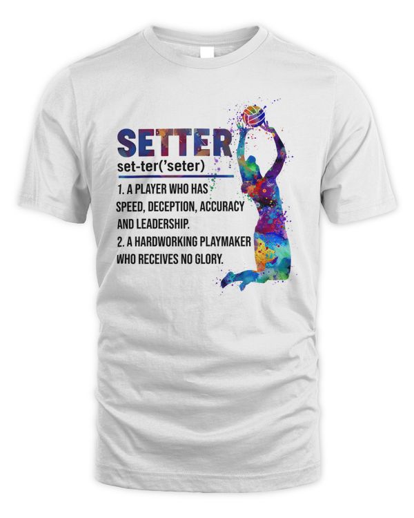 Setter volleyball