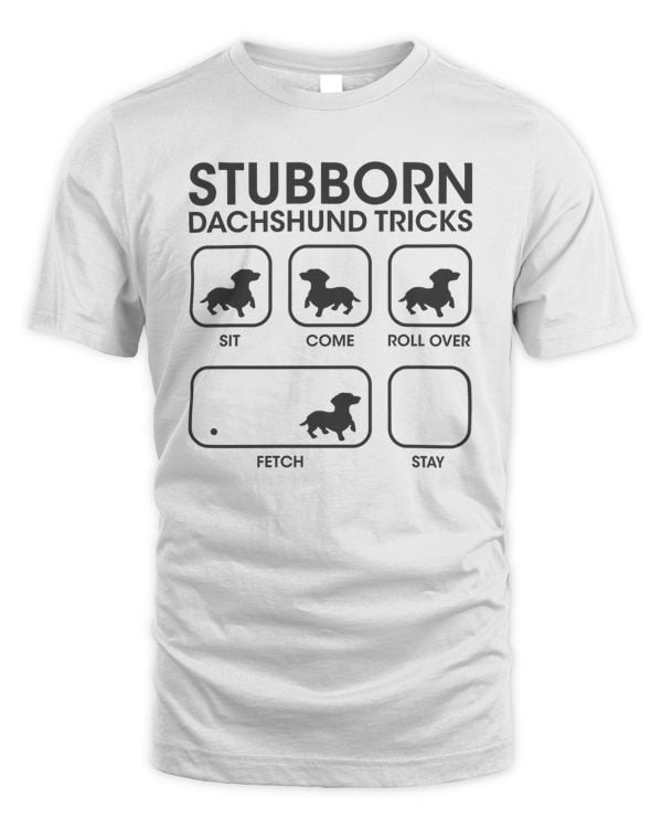 Stubborn Dachshund Tricks
