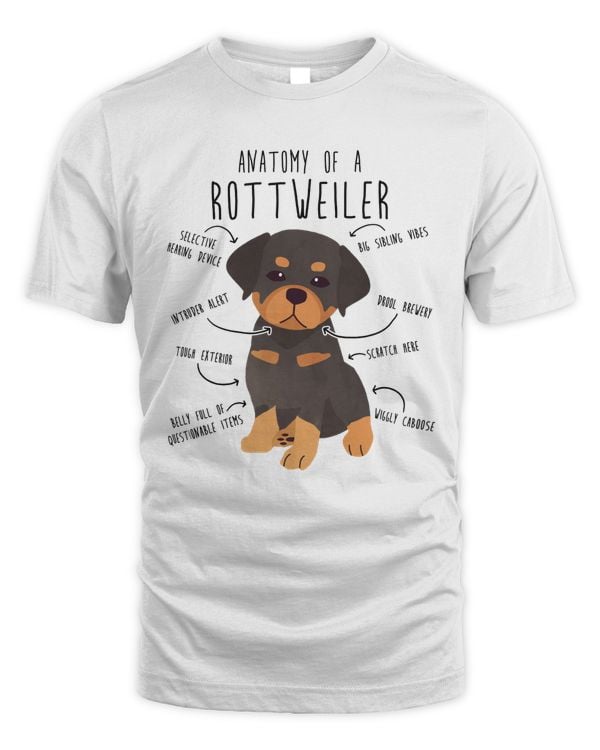 Anatomy Of A Rottweiler