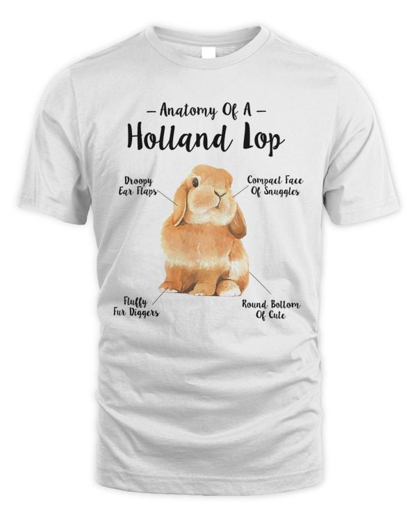 anatomy of a Holland lop