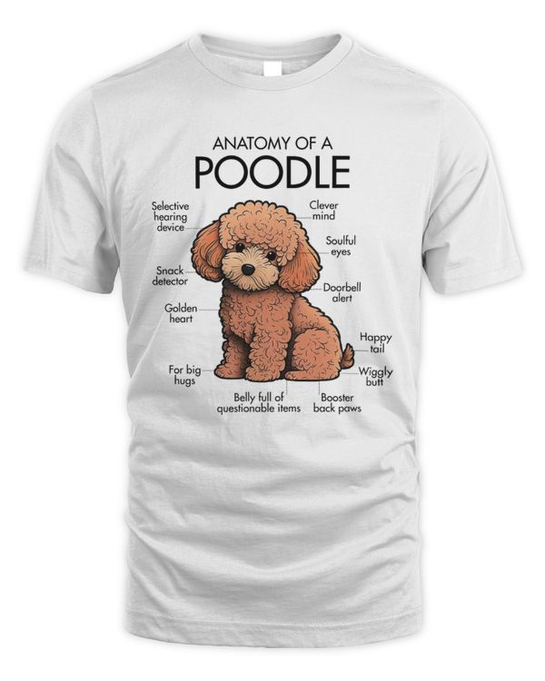 Anatomy Of A Poodle