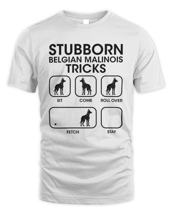Stubborn Belgian Malinois Tricks