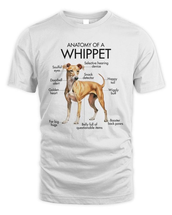 Anatomy Of A Whippet