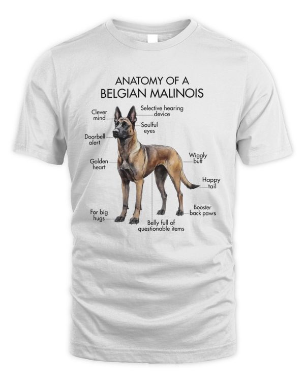 Anatomy Of A Belgian Malinois