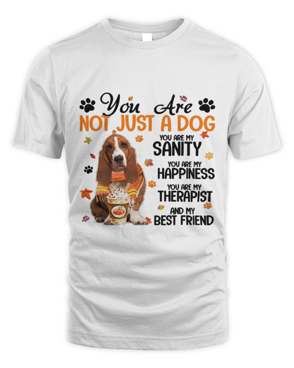 Basset Hound Fall You Are Not Just A Dog You Are My Sanity277