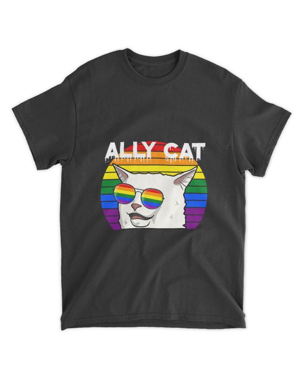 RD LGBT Shirt, Ally Cat Memes Shirt, Funny Smudge The Cat, LGBTQ Gift