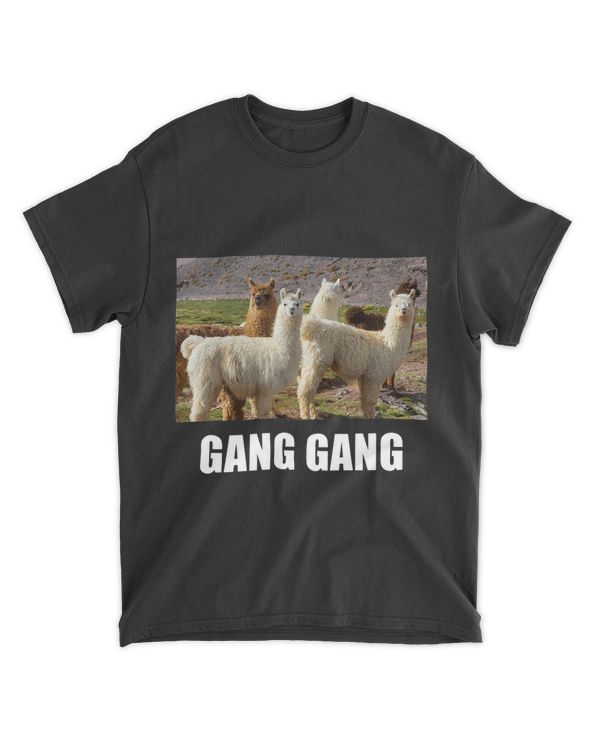 llama meme ironic sarcastic funny weird joke dumb humor