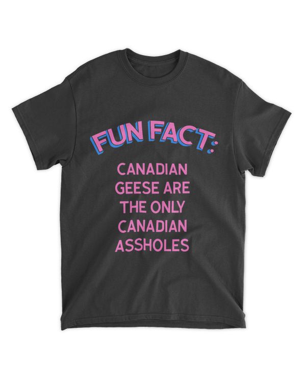 Canadian Geese Are UnCanadian Funny Animal Pun Humor 23