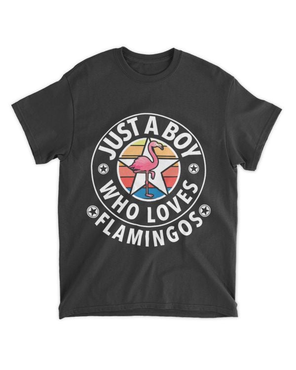 Just A Boy Who Loves Flamingos Retro Pink Flamingo Lovers