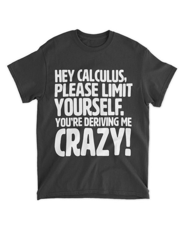 Calculus Youre Deriving Me Crazy 2Funny Calculus Teacher