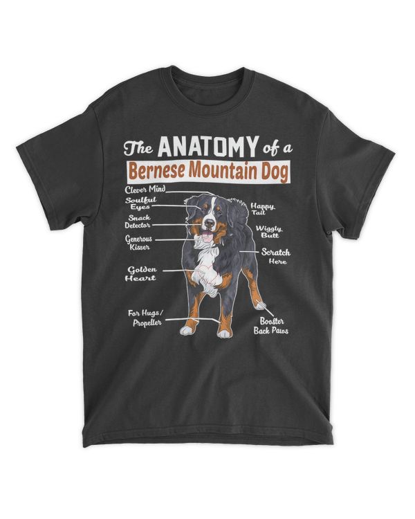 The anatomy of a Bernese Mountain Dog shirt