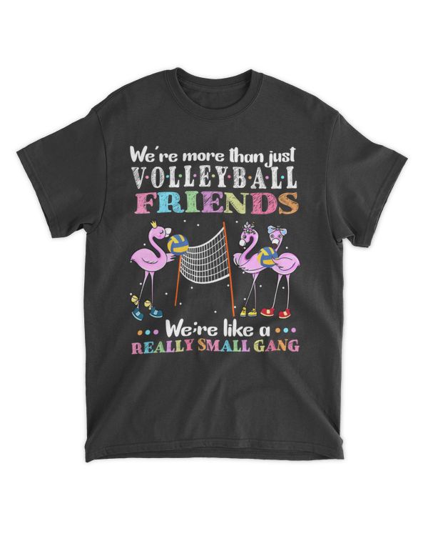 more than just volleyball friends, like a really small gang