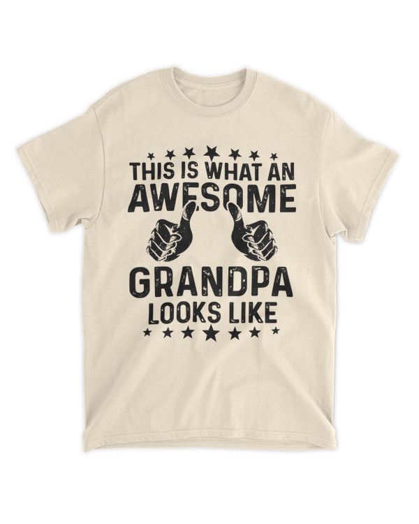 This Is What An Awesome Dad Looks Like T Shirt