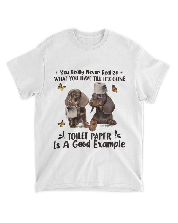 Dachshund You Never Realize What You Have