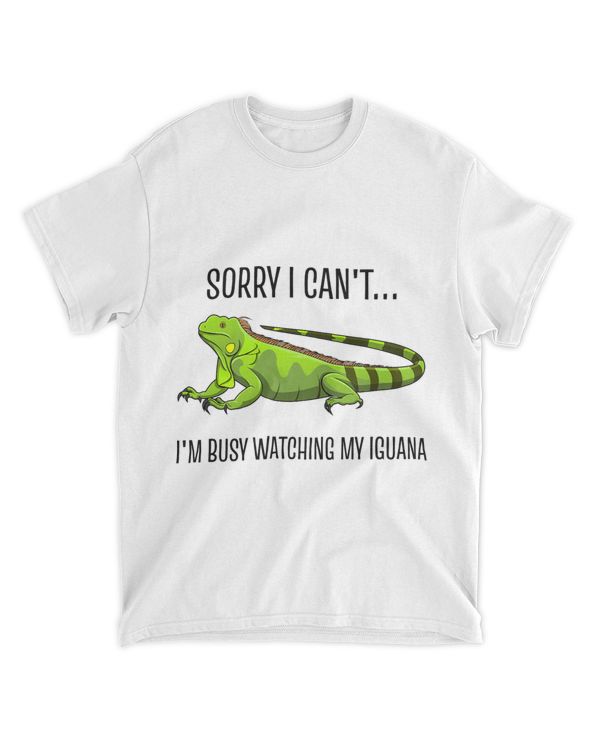 Iguana Lizard Reptile Nature Wildlife