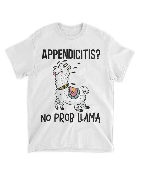 Appendicitis No Prob Llama Funny Appendix Surgery 21