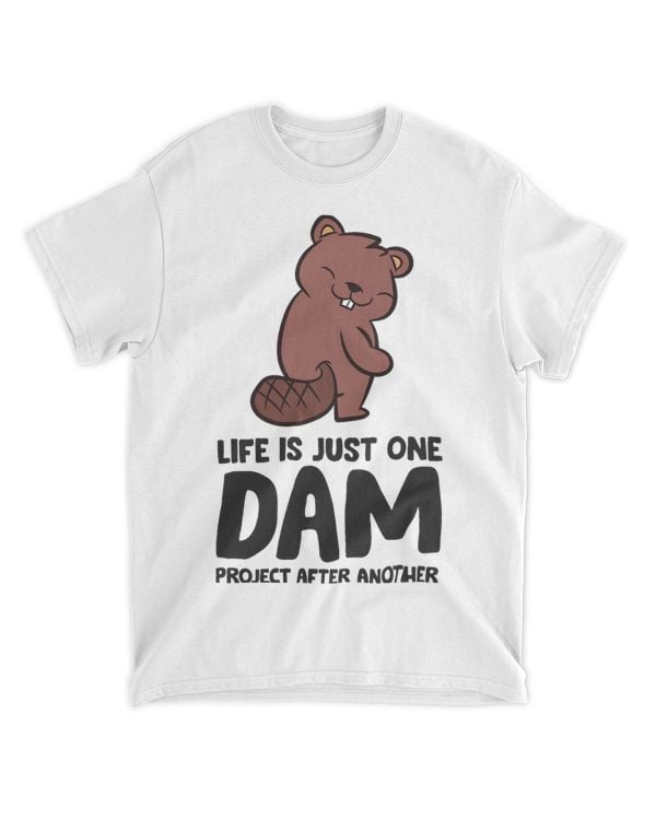 Beaver Dam Life Is Just One Dam Project After Another