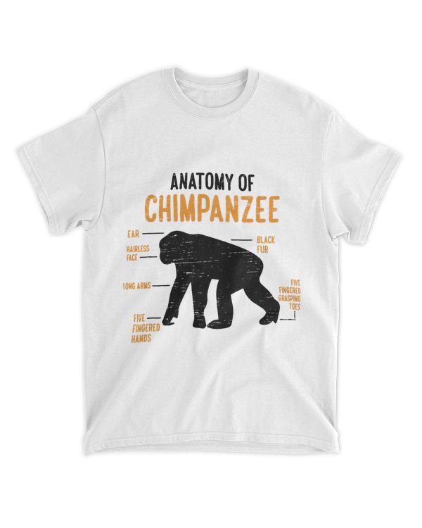 Anatomy Of Chimpanzee Monkey Chimp Ape Wildlife Chimpanzee 21