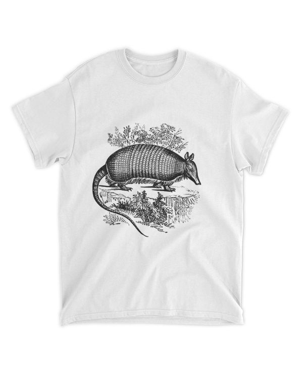Desert Armadillo Print 22