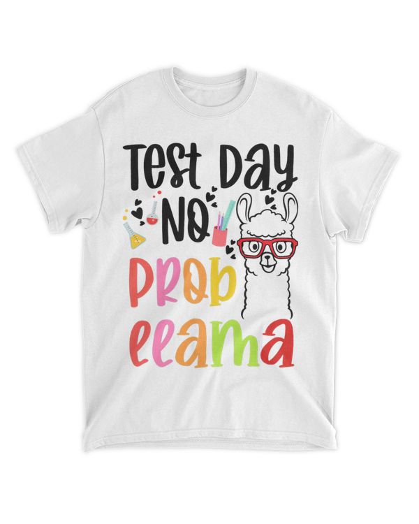 test day no probllama llama teacher 2testing day