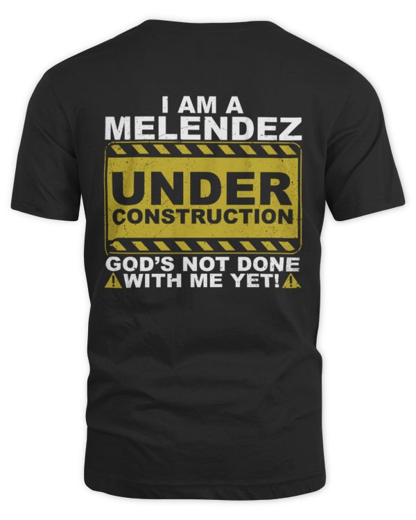 Fbus04415 Melendez H58