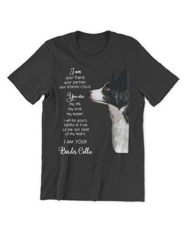 Men's Premium Tshirt