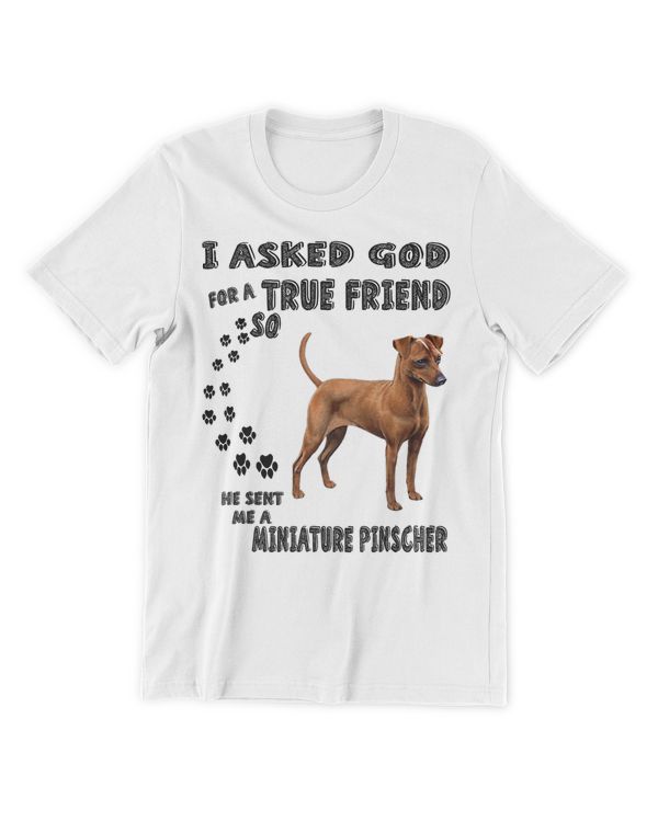Men's Premium Tshirt