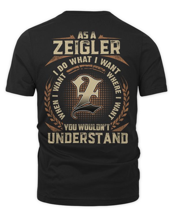 Men's Premium Tshirt