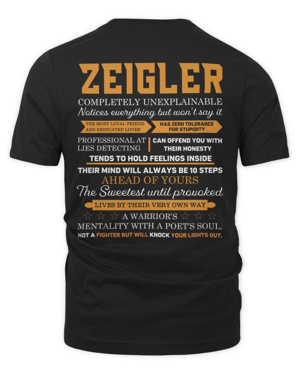 Men's Premium Tshirt