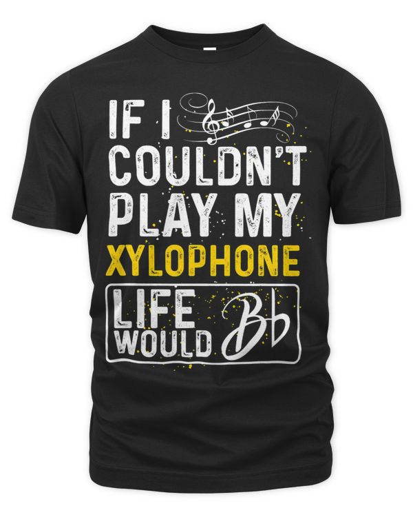 If I Couldnt Play My Xylophone Funny Xylophone