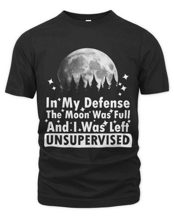 In My Defense The Moon Was Full And I Was Left Unsupervised 4