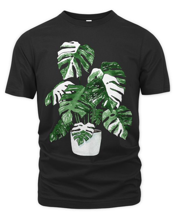 Variegated Monstera Deliciosa Variegata House Plant Ear