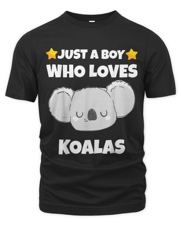 Koala Pet Sarcastic Just A boy Who Loves Koalas Meme Addict Lover 6