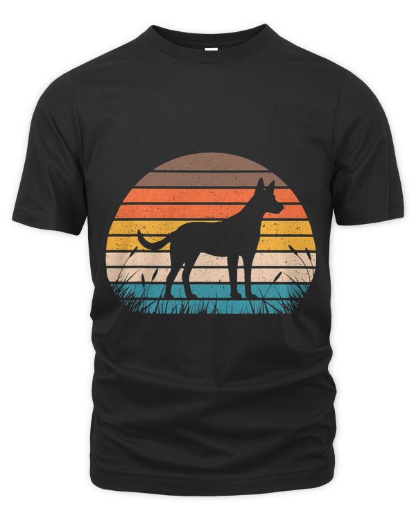 Carolina Dog 62
