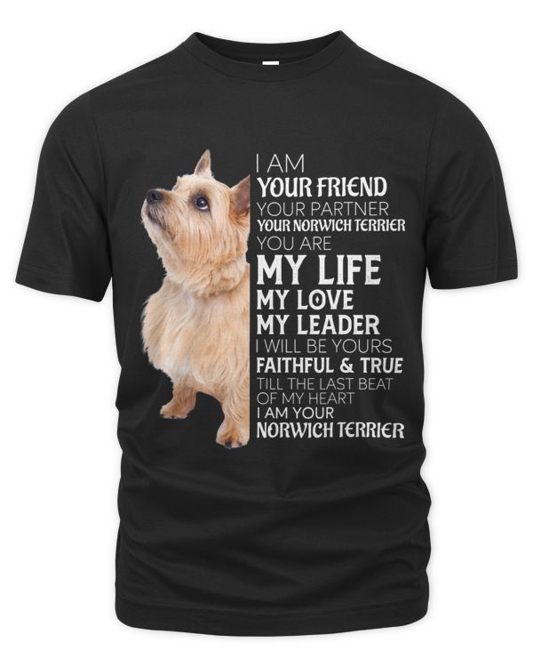 Unisex Premium T-Shirt