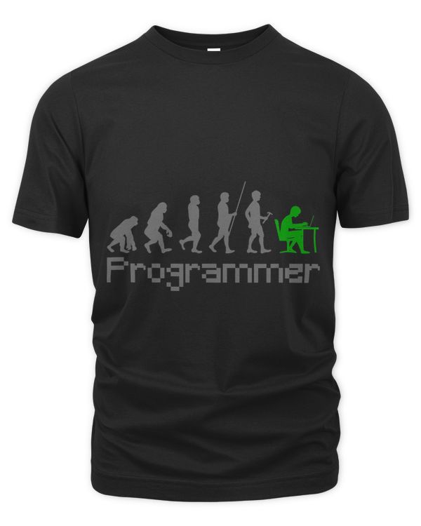 Development of the programmer IT