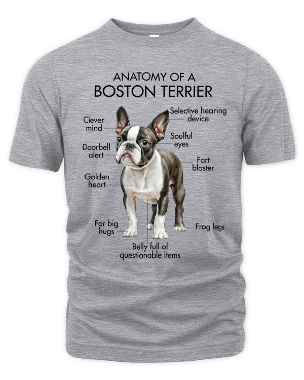 Men's Premium Tshirt