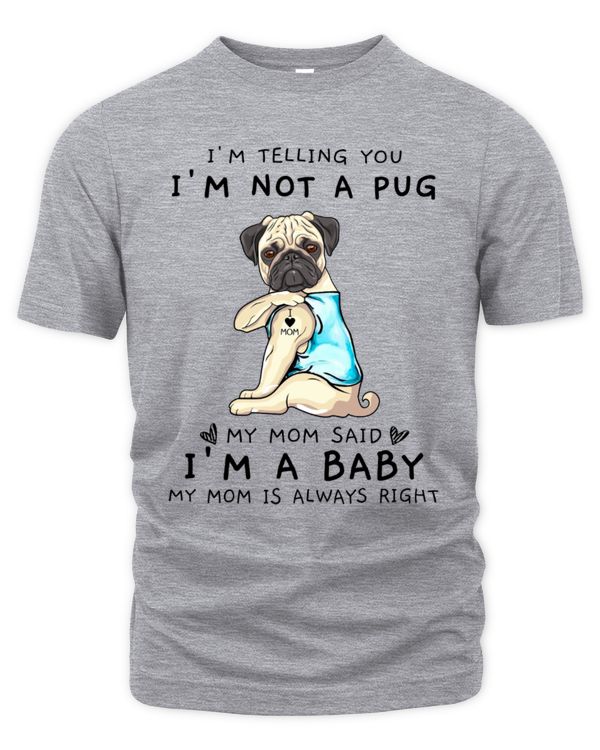 Men's Premium Tshirt