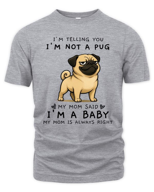 Men's Premium Tshirt