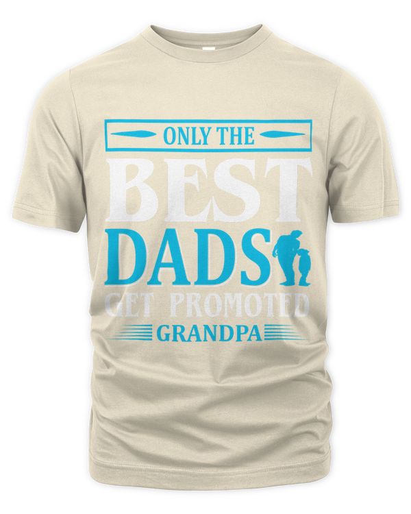 Men's Premium Tshirt