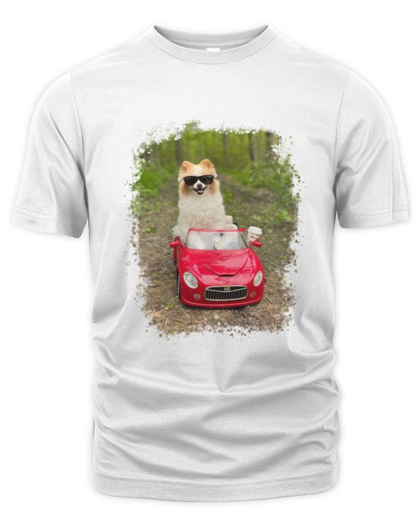 Unisex Premium T-Shirt