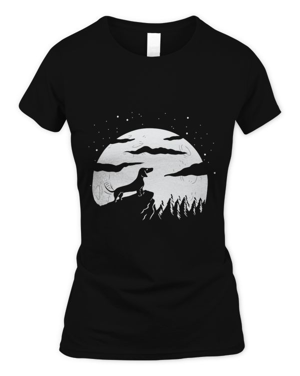 Women's Soft Style Fitted T-Shirt