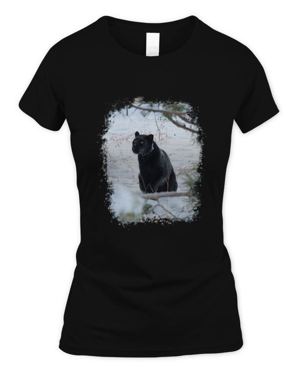 Women's Soft Style Fitted T-Shirt
