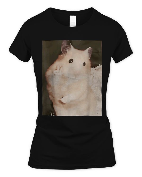 Women's Soft Style Fitted T-Shirt